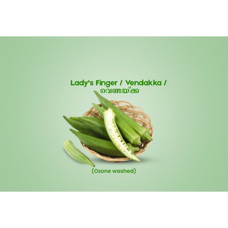 Lady's Finger / Vendakka / വെണ്ടയ്ക്ക - 250gm Pack (Ozone washed)